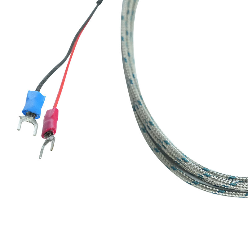 Flerpunkts mantel termoelement
