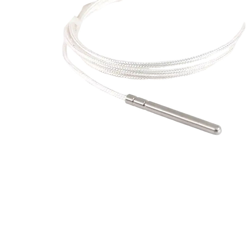 Industriell PT100 RTD temperatursensor 3-leder platina termistor 50 mm termoelement sonde