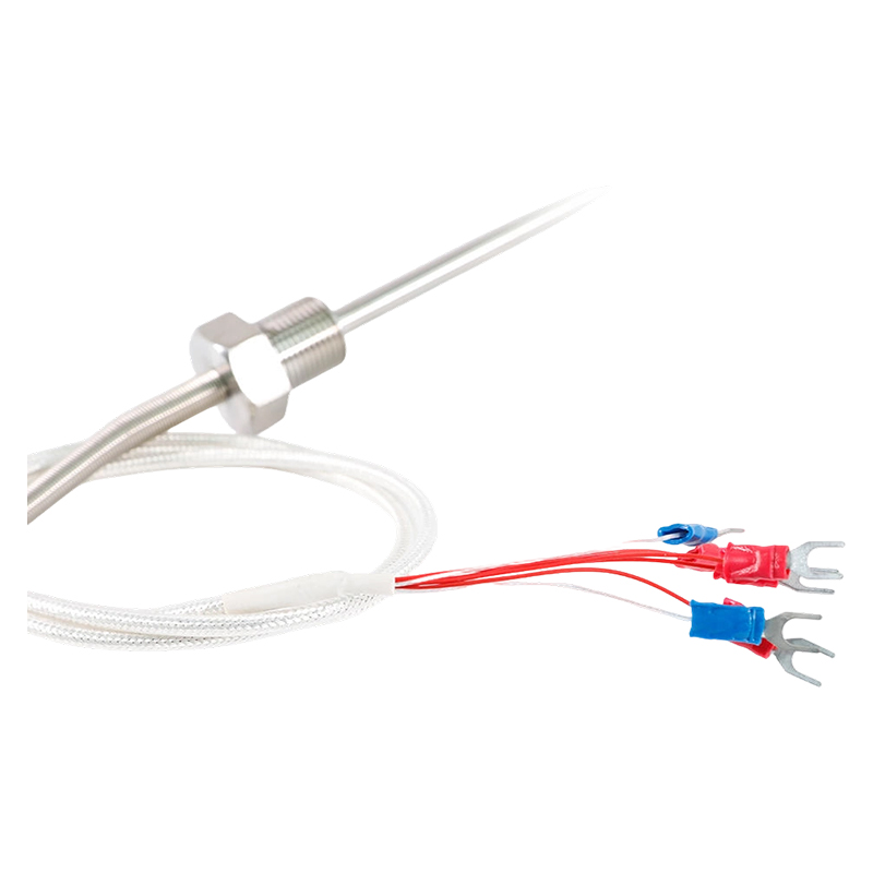 Factory Direct - 200 ~ 450°C Klasse A 316 Rtd Pt100 Temperatursensor Platinum Resistance Termometer Probe 1/2